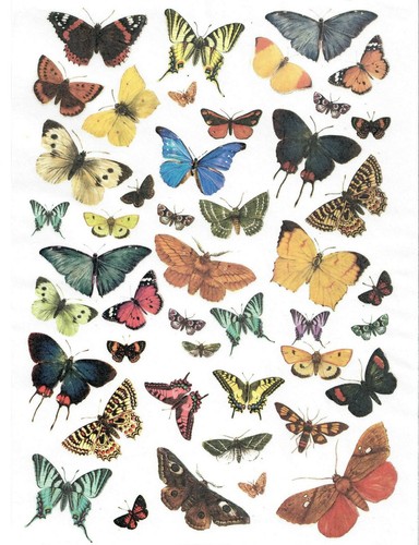 Rice paper decoupage scrapbook - paper,