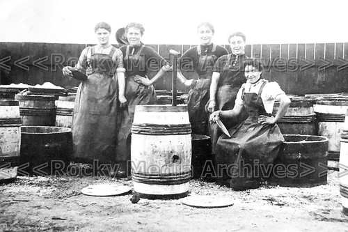 Tqq social history - social, history,