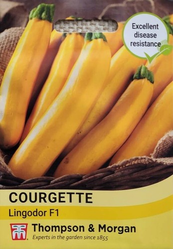 Courgette lingodor - lingodor, f1