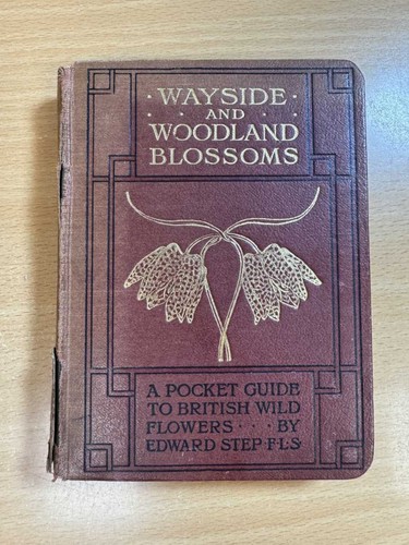 Wayside and woodland blossoms - and,