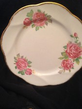 Salisbury English Bone China