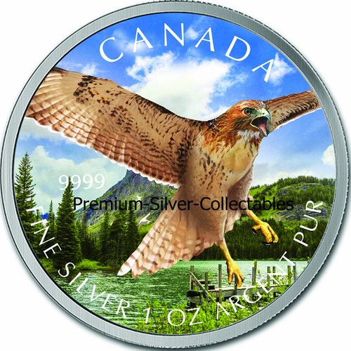 2015 canada red - tail, bird