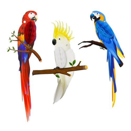3pcs parrot paper - 3pcs,