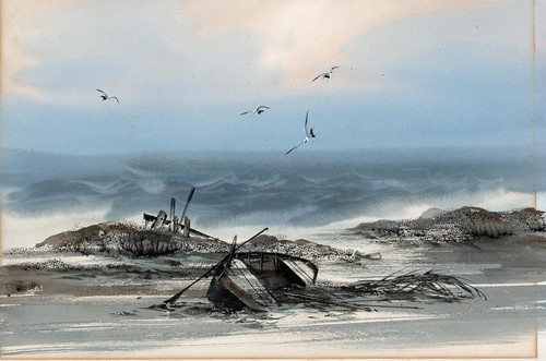 Boat birds in landscape - &,
