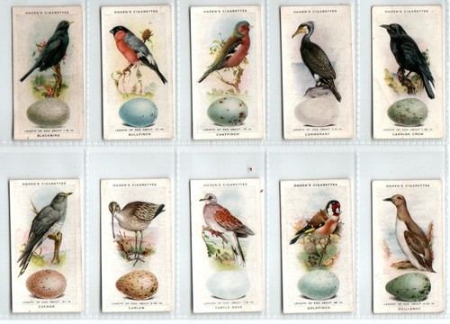 Ogden british birds their - birds,