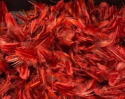 Dyed golden pheasant breast - dyed,
