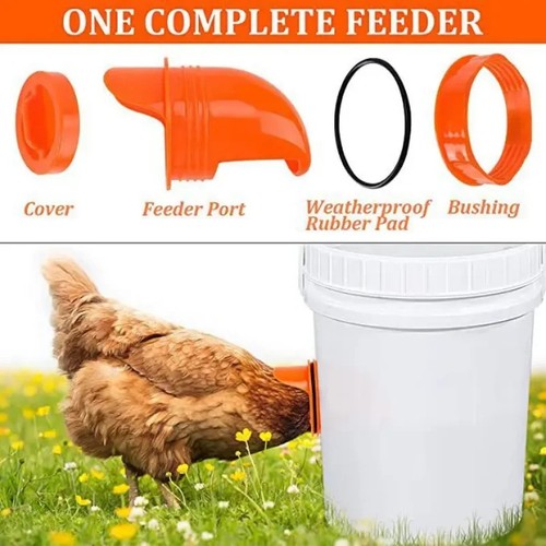 Automatic gravity chicken - automatic,