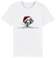 BRITTANY SPANIEL Christmas Dog T-Shirt Mens Womens Kids Dogs Clothing Gift Xmas