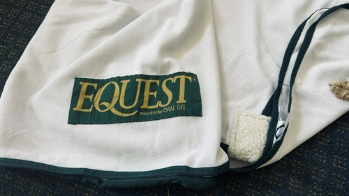 Scrim fly sheet horse - scrim,