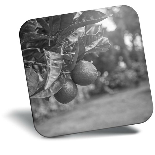 Awesome fridge magnet - fridge,
