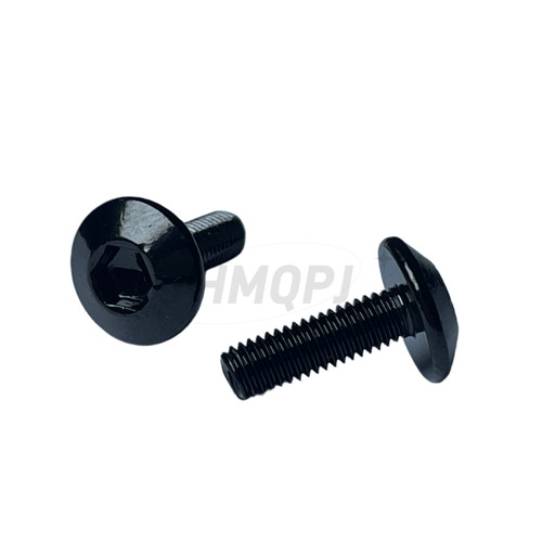 Fairing bolts kit - kit, screws
