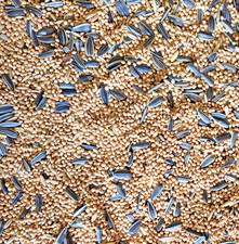 COCKATIEL EXOTIC BIRD Colonels feed parakeet conure aviary food millet seed mix