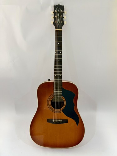 Eko ranger string acoustic - 6,