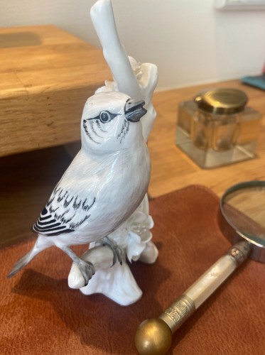 Crown staffordshire chaffinch - staffordshire,