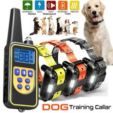 Dog Shock Collar With Remote