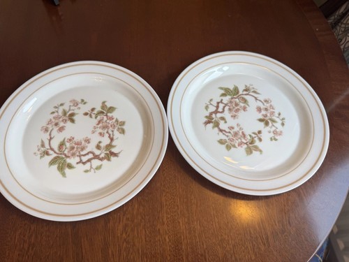 Set vintage pyrex - set, lisa