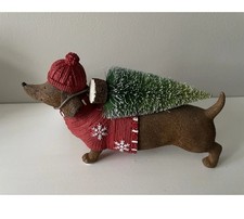 Next Sausage Dog (Dachshund)