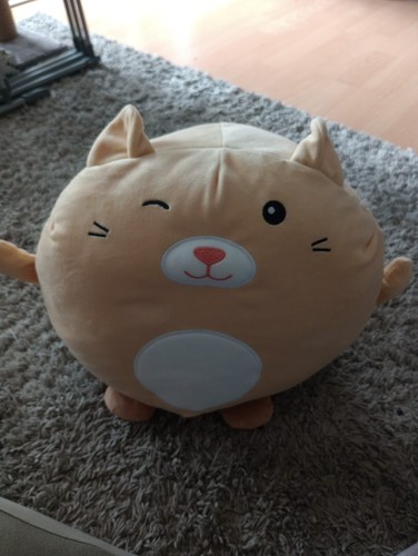 Large circular cat plush - circular,