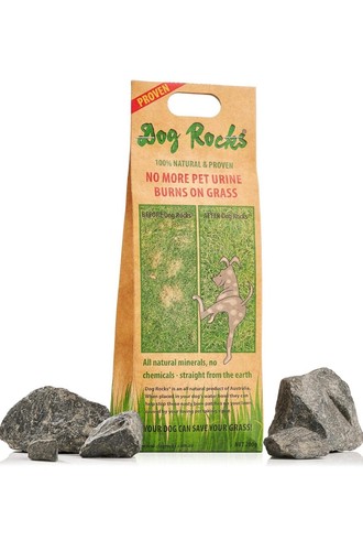 Dog rocks water feed bowl - water,