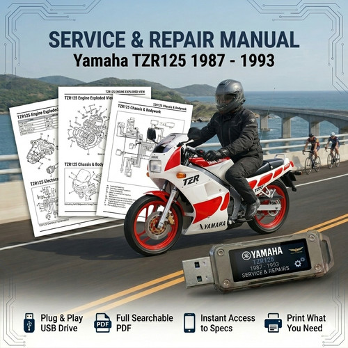 Yamaha tzr125 1987 - yamaha,