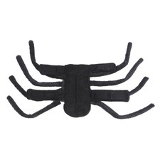 Cat Spider Costume Photography