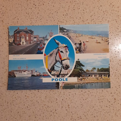 Poole dorset multiview dennis - poole,