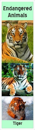 Endangered animals sided - 2,