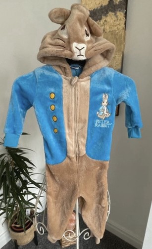 Peter rabbit fleece - peter,