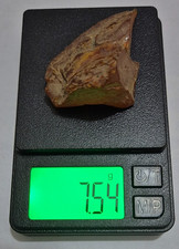 Baltic genuine amber - baltic,