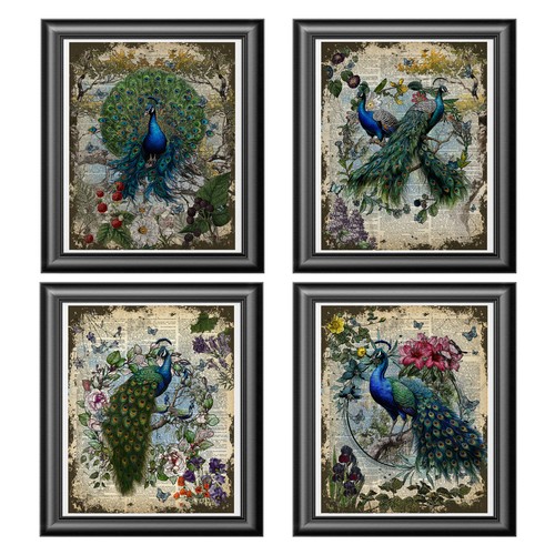 Peacock set art prints - peacock,