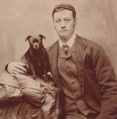 Victorian cdv photo - victorian, pug