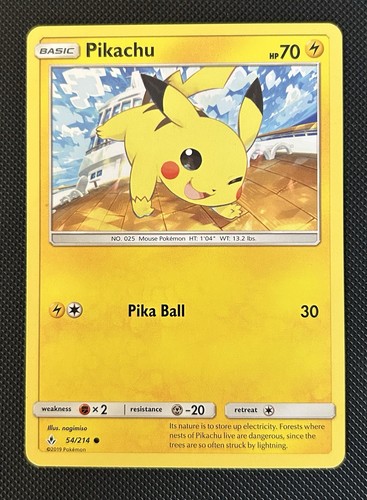 Pokémon tcg pikachu - pokémon, 54/214