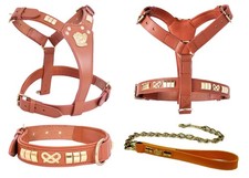 Staffy Dog Tan Leather Harness