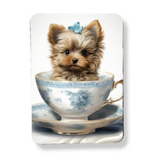 Teacup Yorkie Yorkshire