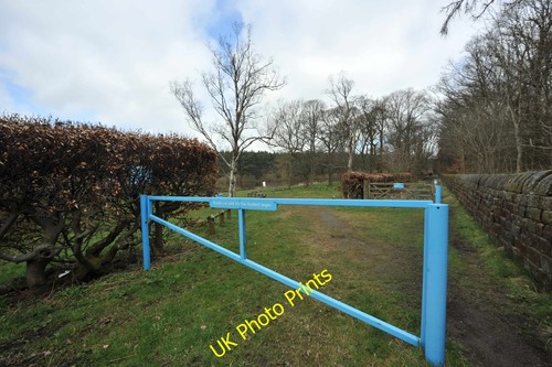 Photo 12x8 car park - photo, the