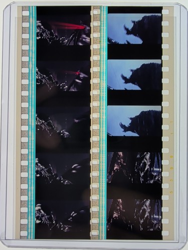 Alien predator requiem - vs,
