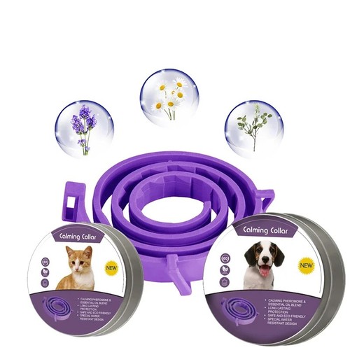 Month protection pet - 8,