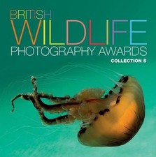 British Wildlife Photography