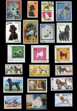 POODLE FRENCH Dog Postage
