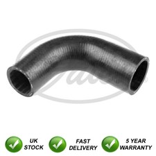 Hose - (radiator,