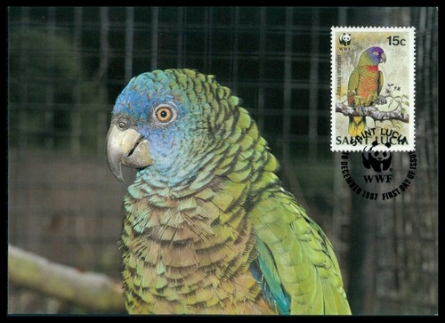 Lucia birds blue - mk,