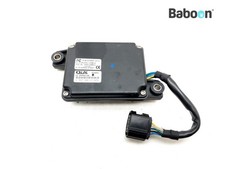 Immobilizer Receiver Triumph