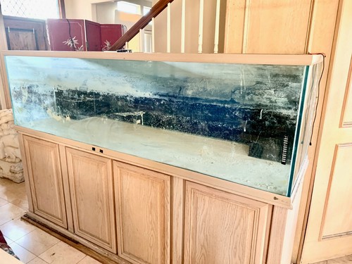 Oceanic aquarium reef tank - oceanic,