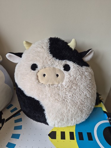 Squishmallows connor the - squishmallows,
