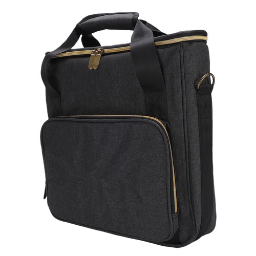 Record storage bag portable - record,
