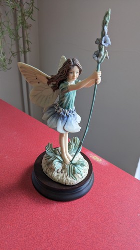 Lavender flower fairy cicely - lavender,