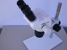 LEICA  GZ6 Stereo Zoom microscope