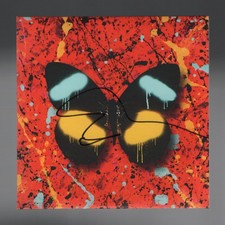 Ed Sheeran Signed CD (ACOA)