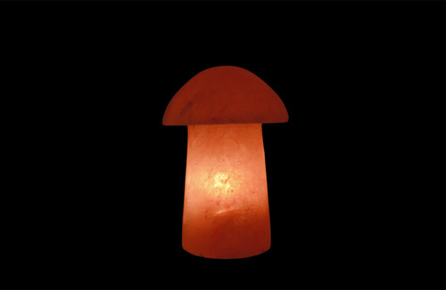 Mushroom shape himalayan - himalayan, rock