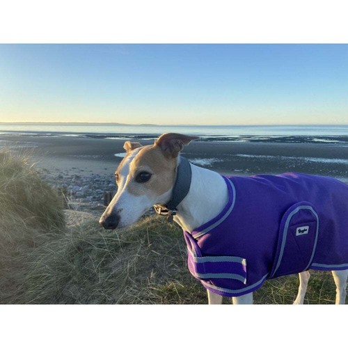 Ruggles waterproof dog coat - waterproof,